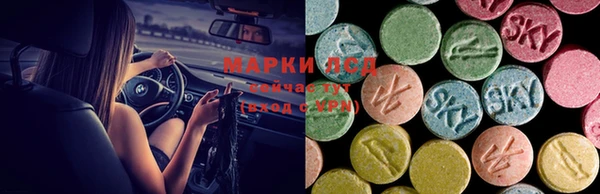 гашик Мегион
