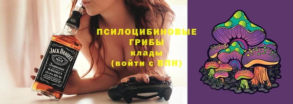 гашик Мегион