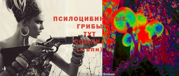ПСИЛОЦИБИНОВЫЕ ГРИБЫ Майский