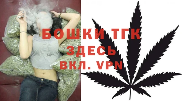 гашик Мегион