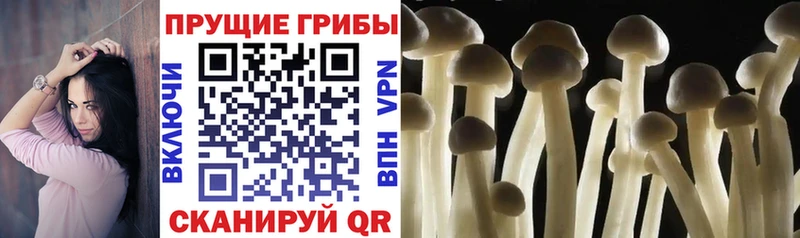 Псилоцибиновые грибы Magic Shrooms  Лесосибирск 