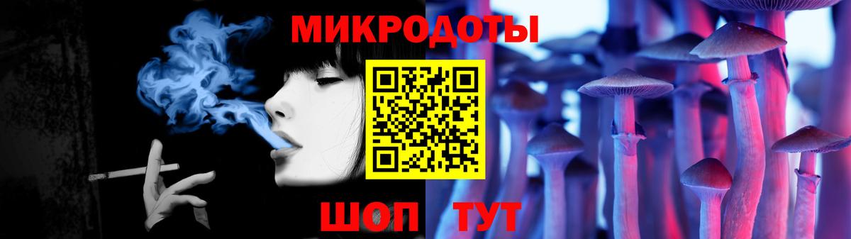 Галлюциногенные грибы Psilocybe Лесосибирск