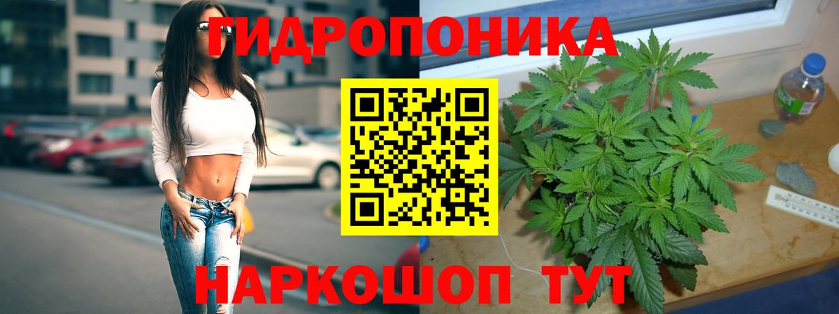 Шишки марихуана VHQ Лесосибирск
